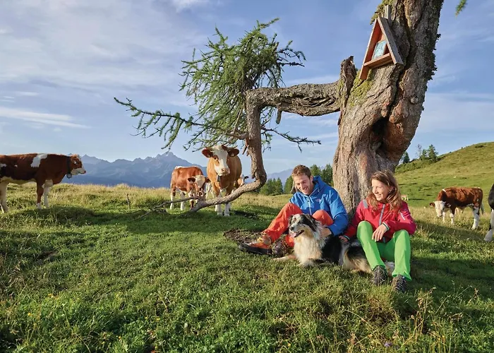 Hidden Gem In With Free Parking Appartamento Innsbruck